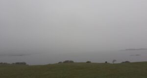 Fog