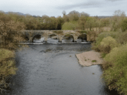 Fish present in Blackwater system but proving hard to tempt scenic shot of river and bridge