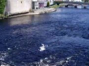 Dropping water levels result in more catches on the Moy