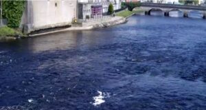 Dropping water levels result in more catches on the Moy