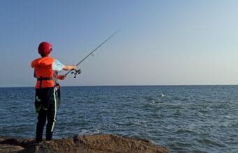 Sea angling survey to document changes in catch over the years