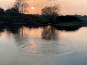 River Moy Angling Report Week ending 25/04/21