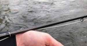 Return to the Nore doesn’t disappoint trout