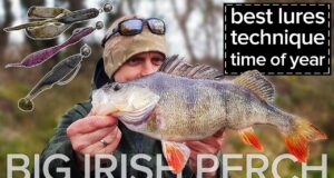 Perch to 43cm – drop shot, jigs, Cheburashka rigs and more