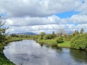 Make it two!…another 16lbs. Salmon caught on the Moy!