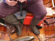 Mayfly fishing still patchy on Corrib
