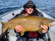 Mayfly up on Corrib