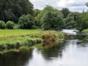 Salmon expected on Bandon following rains Bandon River near Inishannon