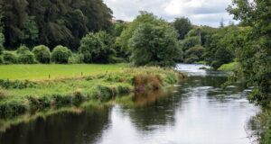 Salmon to 14lb caught on the Bandon last week Bandon River near Inishannon