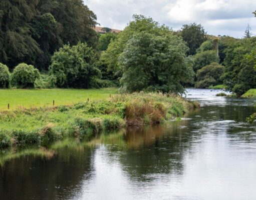 Salmon to 14lb caught on the Bandon last week Bandon River near Inishannon