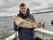 Cod, Ling & Pollack for Fiona Tee in Killybegs