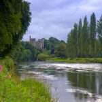 A few salmon reported on the Munster Blackwater