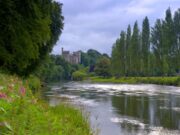 A few salmon reported on the Munster Blackwater Munster Blackwater at Lismore
