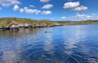 The Ledge, Lough Currane