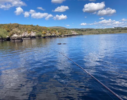 The Ledge, Lough Currane