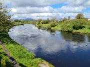 Dry Weather Continued to Impact Fishing Conditions on the River Moy