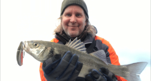 Wild Atlantic Lure Fishing For Bass and Pollack