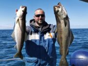 Fishing picking up nicely for Wicklow Boat Charters