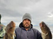 More quality cod, ling & pollack for Fiona Tee in Killybegs