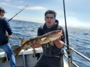 Some more nice cod and pollack for Donegal based charter skippers