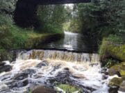 Introductory Training in Water Conservation and Protection in County Roscommon Roscommon