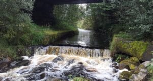 Roscommon