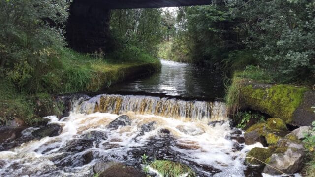 Roscommon
