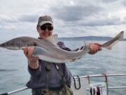 Regular Specimen Hunters target Hounds in Wicklow
