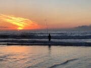 Sign up as a citizen scientist with our IMREC sea angling diary