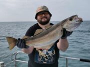 Superb Fishing for Wicklow Boats
