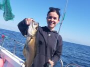 Great boat fishing in Galway Bay