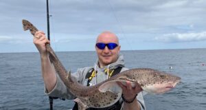 Mackerel get the predators feeding in Clare
