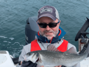 Pollack and Bass on fly for guides on Cork Harbour bass