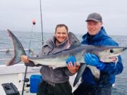 First shark of the year for Sea Angling Charters