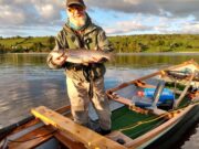 Mayfly fishing tailing off on Arrow