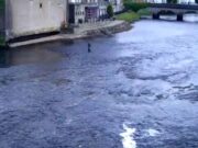 Best week for anglers on the Moy so far
