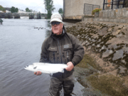 Angler numbers and catches increasing on the Moy