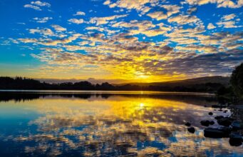 Irish Angling Update 11 June 2021