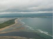 Moy Estuary too rough for sea trout, but plenty of salmon seen