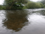 Upper reaches of Bandon fishing well river