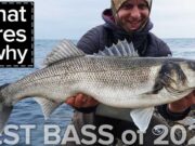 Bass: What lures and why – One angler’s experience