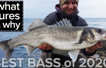 Bass: What lures and why – One angler’s experience