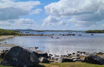 Irish Angling Update 9 July 2021