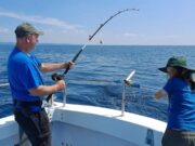 Sharks Galore in Galway Bay