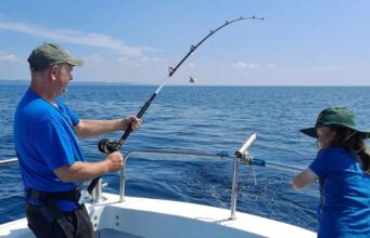 Sharks Galore in Galway Bay