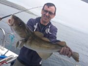 Good Mixed Species Fishing in Galway Bay