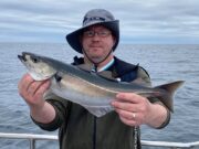 Good species fishing and a few shark in Clare