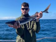 Great species fishing in Carrigaholt