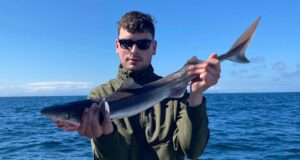 Great species fishing in Carrigaholt