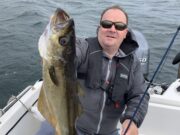 Kelpy cod and powerful pollack in Cork Harbour